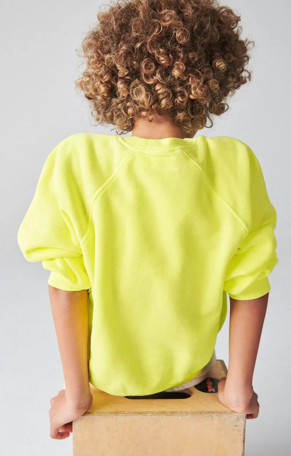 Sweat Enfant Izubird*American Vintage Cheap
